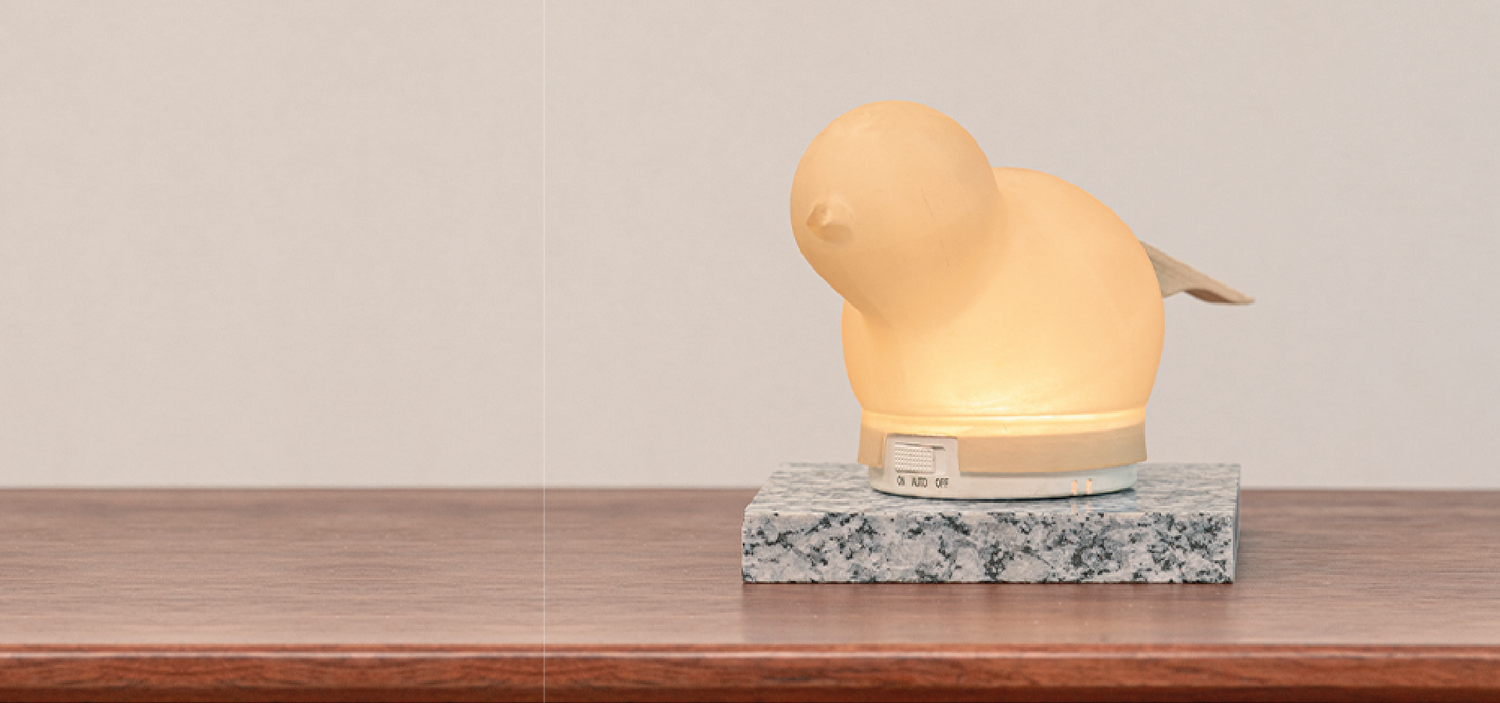 Alebrije interiorismo semi-artesanal