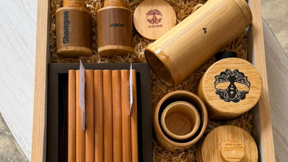 Alebrije interiorismo semi-artesanal